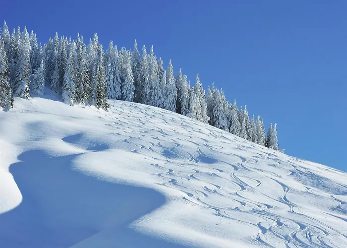 In Near Lift