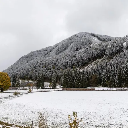 Σαλέ In Hinterglemm