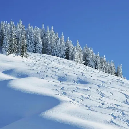 In Hinterglemm Chalet