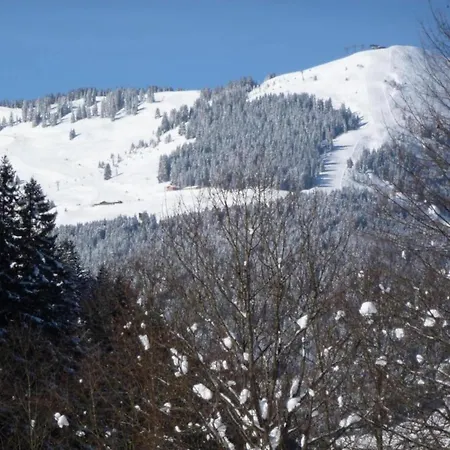 In Hinterglemm Chalet *