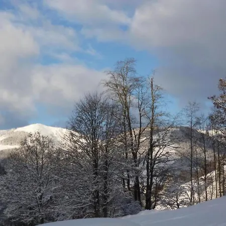 In Hinterglemm Saalbach-Hinterglemm