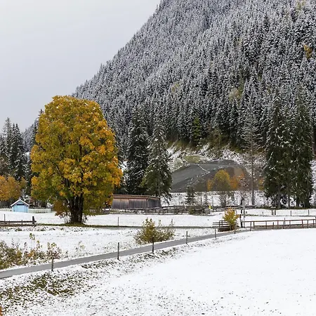 In Near Lift シャレー ザールバッハ・ヒンターグレム