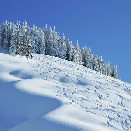 In Near Lift